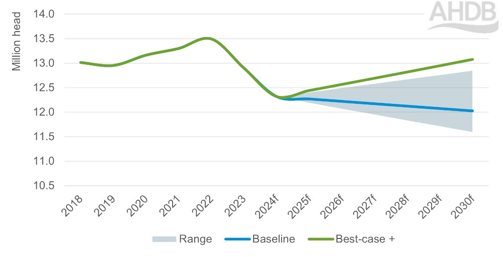 Graph of size of GB breeding ewe flock 2018-2030.